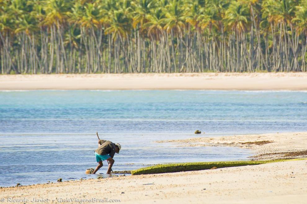 Imagem de um pescador na beira da Praia Tassimirim em Ilha de Boipeba.